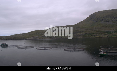 Celtic Atlantic Salmon Ltd Lachs Farm befindet sich in der einzig wahren Fjord Irlands Killary Harbour Landschaft Stockfoto