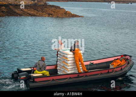 Celtic Atlantic Salmon Ltd Killary Harbour Irland Arbeitnehmer gehen Sie in die Käfige der junge Lachse für die Fütterung in einem aufblasbaren bo Stockfoto