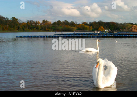 Strathclyde Park Motherwell Schottland Stockfoto