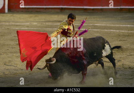 Matador und Stier beim Stierkampf in Caracas-Venezuela Stockfoto