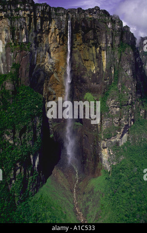 Angel Falls, den höchsten Wasserfall der Welt auf 3 212 Füße im Nationalpark Canaima Venezuela Stockfoto