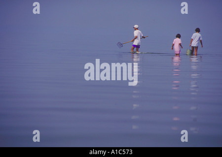 Drei Kinder Brüder und 2 Schwestern waten im seichten Wasser von Rehoboth Bay Delaware an einem nebligen Frühsommer-Morgen Stockfoto