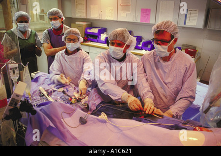 Interventionelle Kardiologen Dr. Fayaz A Shawl führt Ballondilatation und Rotablator Verfahren Stockfoto