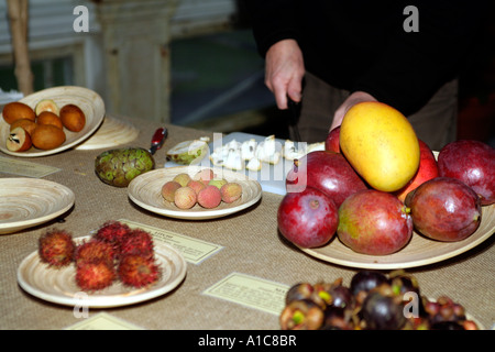 Tropische Früchte auf Display-Obst Ausstellung, Göteborg Botaniska Trädgård (Botanischer Garten). Schweden Stockfoto