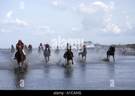 inländische Pferd (Equus Przewalskii F. Caballus), Pferderennen im Wattenmeer, Deutschland, Niedersachsen, Cuxhaven Stockfoto