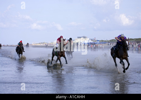 inländische Pferd (Equus Przewalskii F. Caballus), Pferderennen im Wattenmeer, Deutschland, Niedersachsen, Cuxhaven Stockfoto