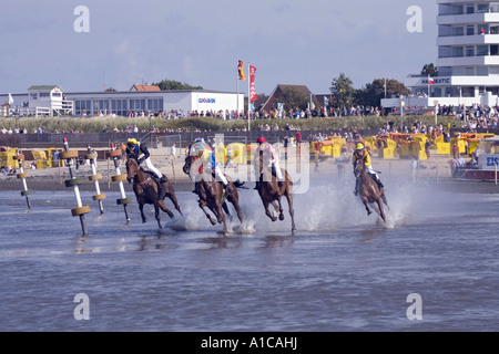 inländische Pferd (Equus Przewalskii F. Caballus), Pferderennen im Wattenmeer, Deutschland, Niedersachsen, Cuxhaven Stockfoto