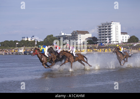 inländische Pferd (Equus Przewalskii F. Caballus), Pferderennen im Wattenmeer, Deutschland, Niedersachsen, Cuxhaven Stockfoto