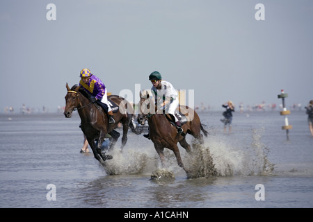 inländische Pferd (Equus Przewalskii F. Caballus), Pferderennen im Wattenmeer, Deutschland, Niedersachsen, Cuxhaven Stockfoto