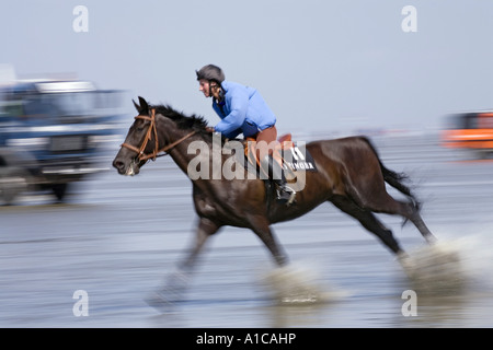 inländische Pferd (Equus Przewalskii F. Caballus), Pferderennen im Wattenmeer, Deutschland, Niedersachsen, Cuxhaven Stockfoto