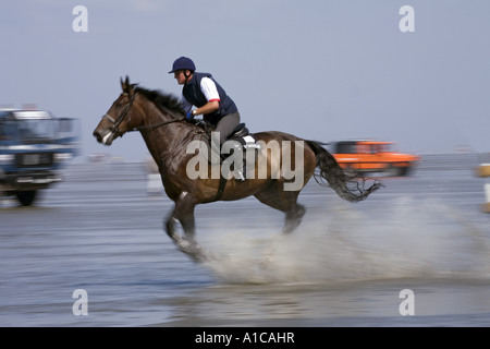 inländische Pferd (Equus Przewalskii F. Caballus), Pferderennen im Wattenmeer, Deutschland, Niedersachsen, Cuxhaven Stockfoto