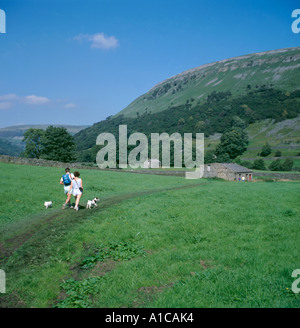 Fußweg zum Ivelet Woods, in der Nähe von Muker Dorf, obere Swaledale, Yorkshire Dales National Park, North Yorkshire, England, UK. Stockfoto