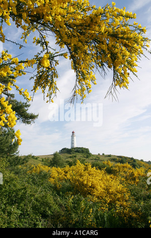 Leuchtturm auf Hiddensee Insel, Deutschland, Mecklenburg-Vorpommern, Hiddensee Stockfoto