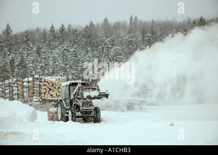 Clearing Arbeit Hof am Holzfällerlager nach schweren Wintersturm in der Provinz von Quebec Kanada Stockfoto