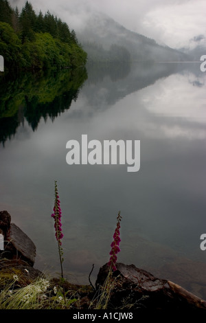 Crescent Lake mit spiegelnden Reflexionen in seiner ruhigen Oberfläche. Stockfoto