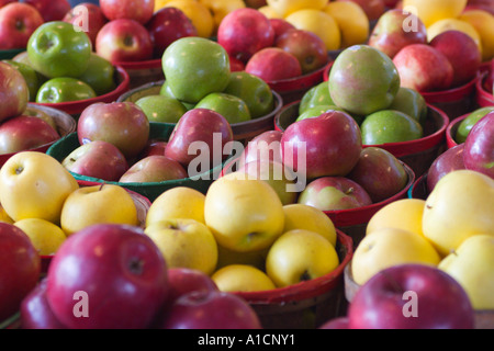 Körbe mit roten, gelben und grünen Äpfeln zum Verkauf auf einem Bauernmarkt in Zentral-Florida, USA Stockfoto