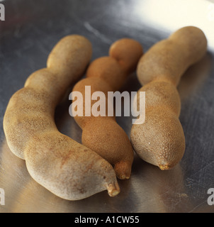 Tamarind-Hülsen Stockfoto