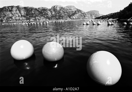 Shell-Bauernhof Stockfoto