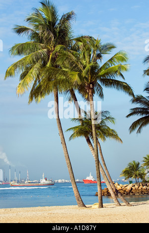 SENTOSA Island Isle SILOSO BEACH Resort Singapur Asien Stockfoto