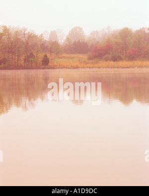 nebligen Frühlingsmorgen mit See Reflexionen Stockfoto