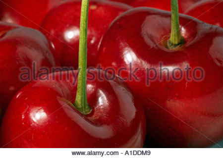 Rote Kirschen hautnah Stockfoto