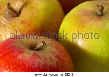 Knackige Äpfel closeup Stockfoto