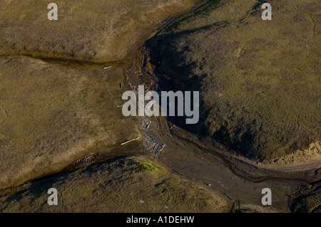 Tundra-Landschaft mit Treibholz entlang der arktischen Küste National Petroleum Reserve-Alaska Stockfoto