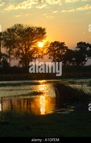 Sonnenaufgang über dem Okavango Delta, Botswana Stockfoto