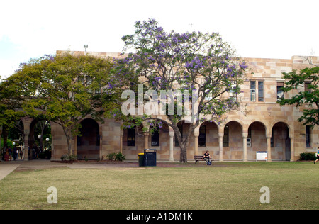 St. Lucia Campus der University of Queensland, Brisbane Australien. 11 / 2006 Fotos von Bruce Miller © Stockfoto