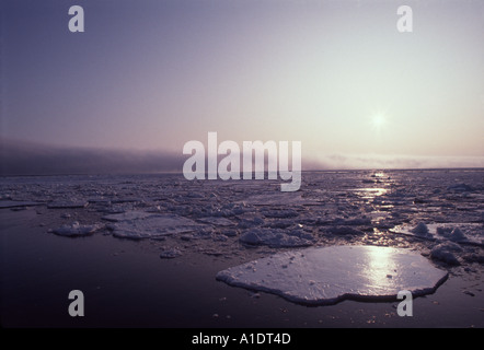 Eisschollen in der Ross Sea Antarktis aufbrechen Stockfoto