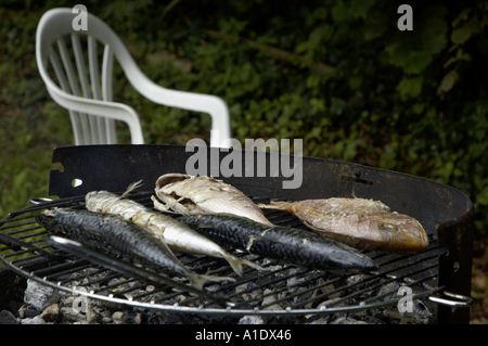 Zwei vergoldete Kopf Dorade und drei Makrelen auf dem Grill Stockfoto