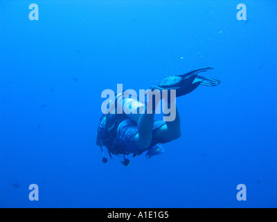 Taucher im erschossen, während blau Tauchen Stockfoto