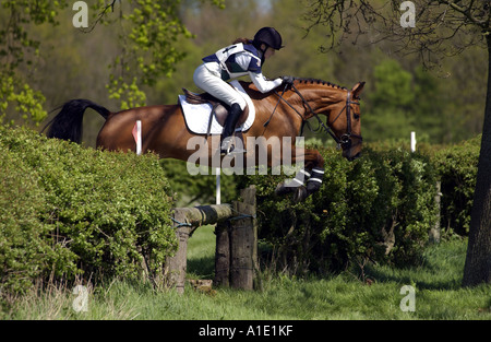 Junge Frau reitet auf einem dunklen Bucht Pferd in einem Langlauf-Eventing-Wettbewerb Gloucestershire Vereinigtes Königreich Stockfoto