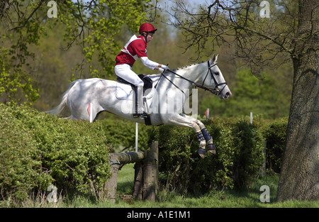 Junger Mann reitet auf einem grauen Stute Pferd in einem Langlauf-Eventing-Wettbewerb Vereinigtes Königreich Stockfoto