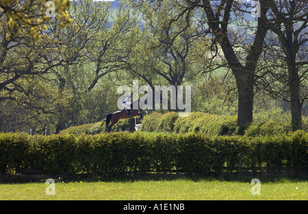 Junge Frau reitet auf einem Bucht Pferd in einem Langlauf-Eventing-Wettbewerb Vereinigtes Königreich Stockfoto