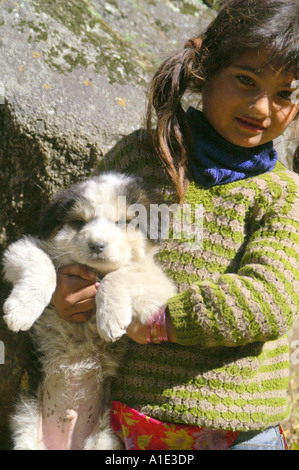 Eine junge einheimische indische Kind Mädchen spielen mit flauschigen weißen Hund niedlichen Welpen, Kalga Dorf, Indien Stockfoto