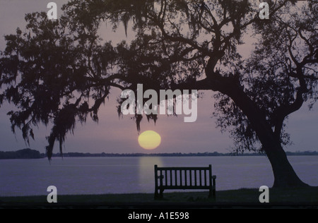 Am Ende des Tages: Abend Sonnenuntergang über Golf Küste Wasser mit einer Bank unter einem Baum mit Spanischen hängenden Moss, Louisiana, USA Stockfoto