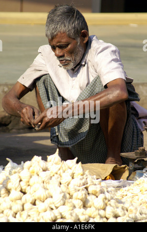 Indische Greis Verkauf Knoblauch auf Boden am Gemüsemarkt Paharganj Straße, Neu-Delhi, Indien Stockfoto