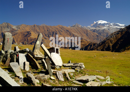 Chandra Kanni Pass und Maen Hirs auf Alp, indischen Himalaya-Gebirge im Sommer Stockfoto