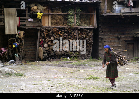 Alte Frau mit Brennholz vor typischen Holzhaus Wohnung in Malana Dorf, Nordindien Stockfoto