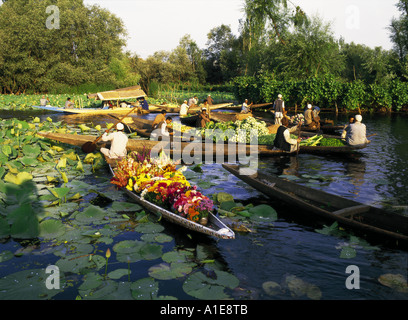 Schwimmenden Markt auf Dal-See in Srinagar in Kaschmir Indien Stockfoto