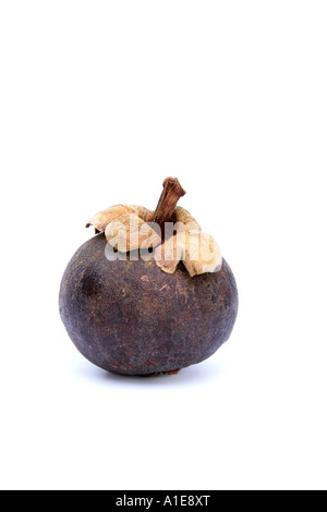 Mangostan-Frucht (Garcinia Mangostana), exotische Früchte Stockfoto