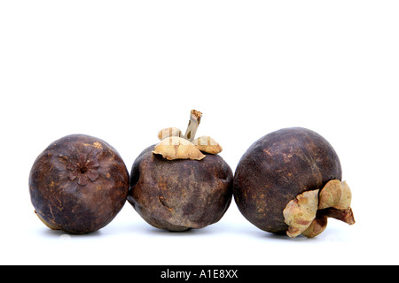 Mangostan-Frucht (Garcinia Mangostana), exotische Früchte Stockfoto