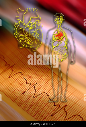EKG (EKG) und Abbildung des menschlichen Körpers Stockfoto