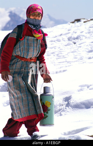 Junge indische Frau mit Kaffee Kanne auf Schnee im indischen Himalaya, Rohtang Pass in Lahaul region Stockfoto