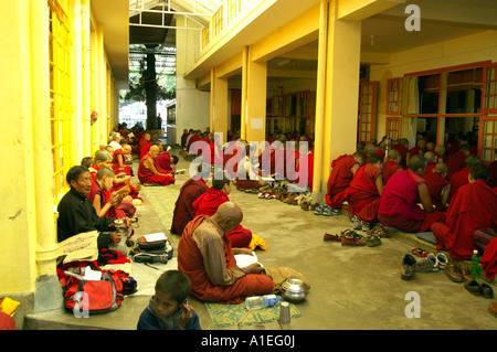 Mönche sitzen versammelten sich im Korridor der Namgyal Kloster, McLeod Ganj, während des Gebets Stockfoto