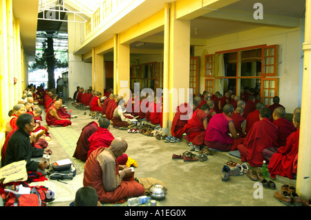 Mönche sitzen versammelten sich im Korridor der Namgyal Kloster, McLeod Ganj, während des Gebets Stockfoto