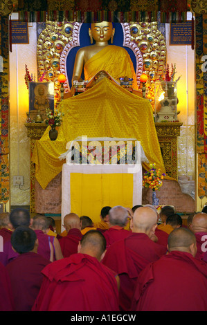 Sakyamuni Buddha Statue und Mönche sitzen trafen sich in Namgyal Kloster, McLeod Ganj, Indien Stockfoto