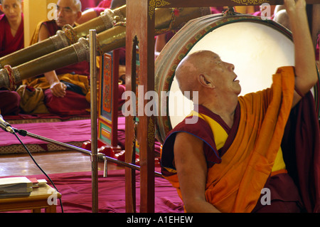 Hoher Rang Priester sammeln in McLeod Ganj, Namgyal Kloster während des Gebets Stockfoto