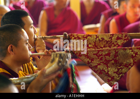 Mönche, die Hörner im Namgyal Kloster während des Gebets, McLeod Ganj wehen Stockfoto